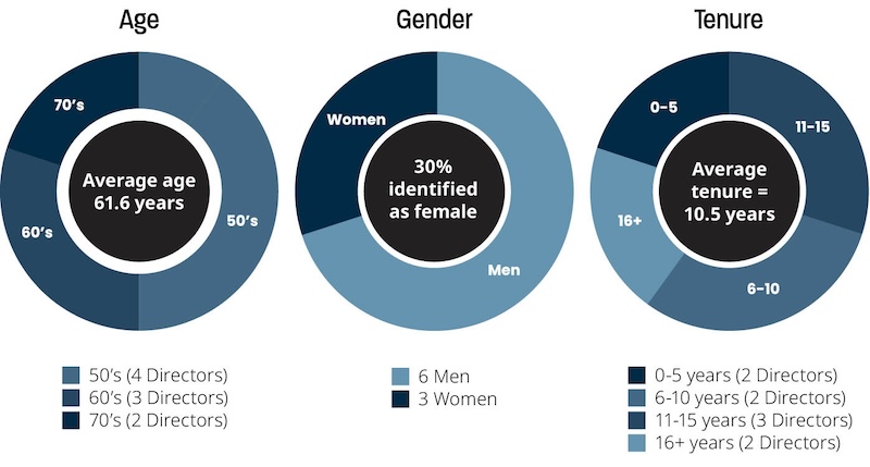 Three pie charts; The first pie chart shows the age distribution of directors, with categories for different age ranges. The second pie chart depicts the gender distribution of directors, divided into male and female. The third pie chart illustrates the distribution of directors' tenure, categorized by length of service in years