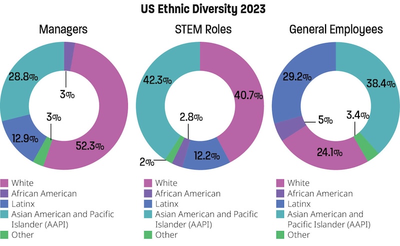 Pie Charts showing US Ethnic Diversity in 2023